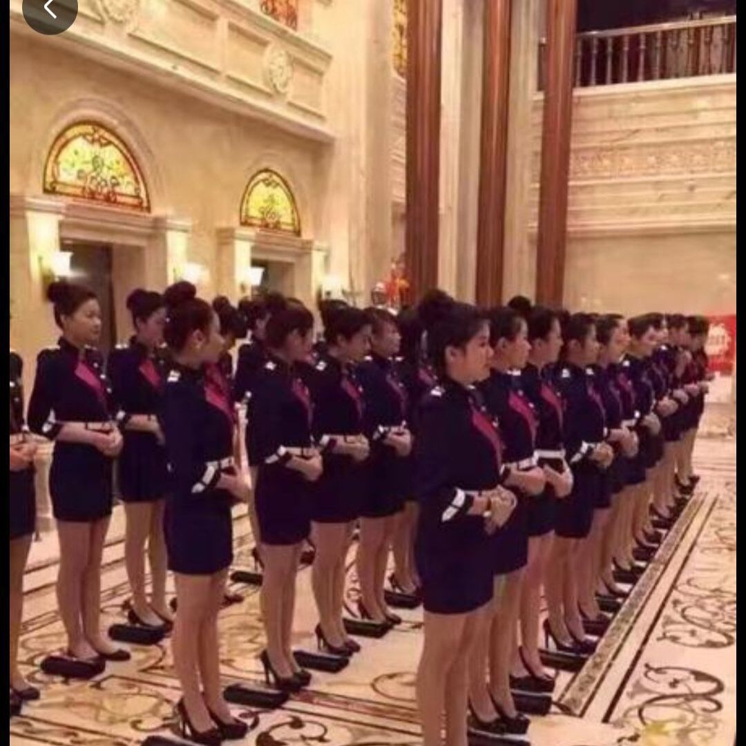 一条龙服务 需要的加扣扣联系